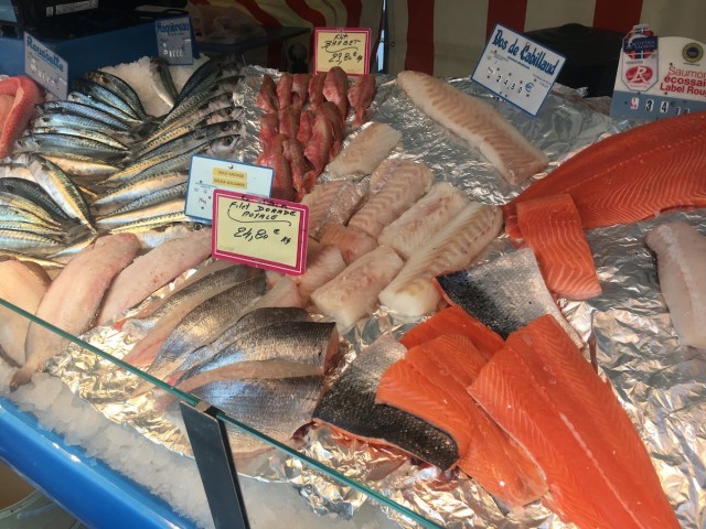 mackeral-and-dorado-and-atlantic-salmon